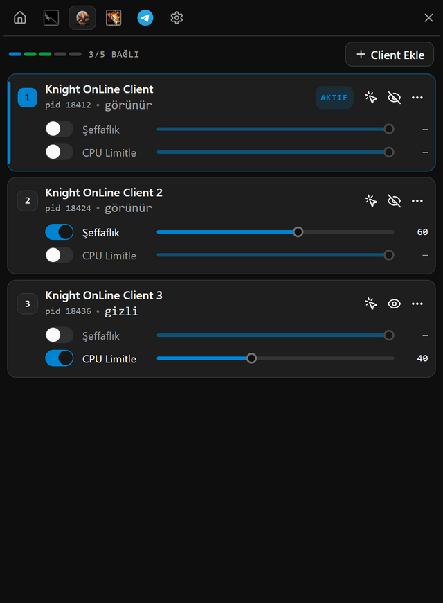 Multi Client